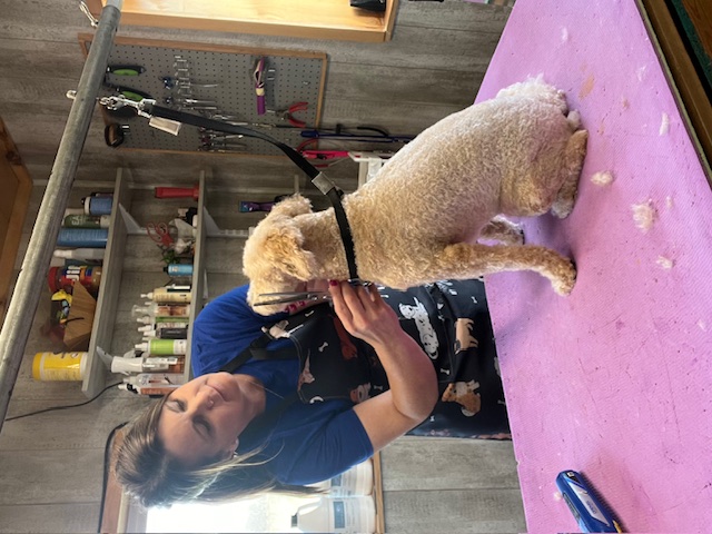 Mama T's Pet Parlor & Boarding - Professional Dog Grooming